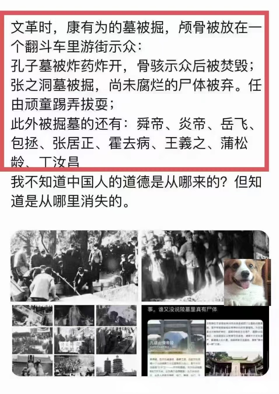 足球买球的APP-TRON骗局曝光被揭穿，已有超26.61人被骗！，引爆行情